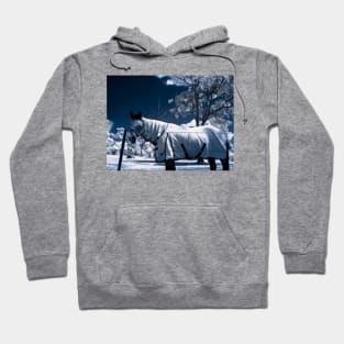 Snow Pony Hoodie